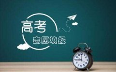 重庆重庆英豪教育重庆市2020年高考志愿填报注意事项有哪些?